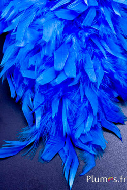 Coq mèche  - 10 cm - turquoise